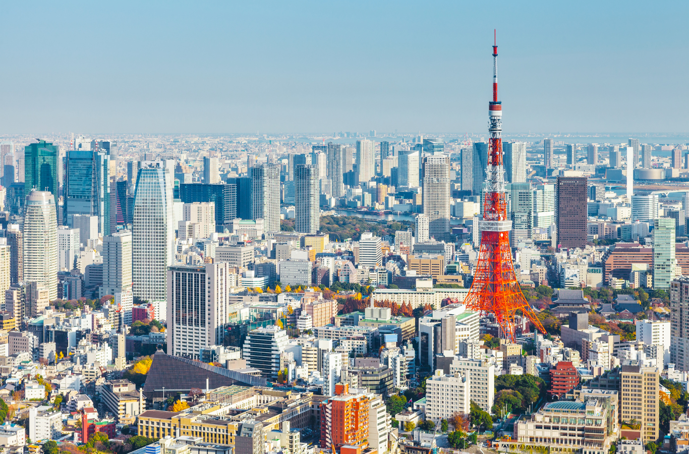 東京タワーと都心のスカイライン