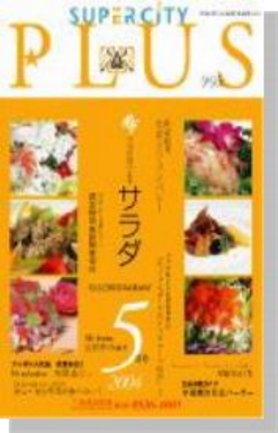 『SUPER CITY PLUS』表紙